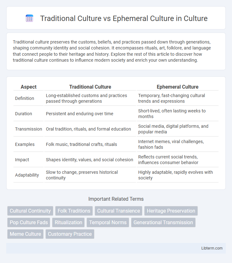 Ephemeral Culture vs Traditional Culture in Culture - What is The Difference?