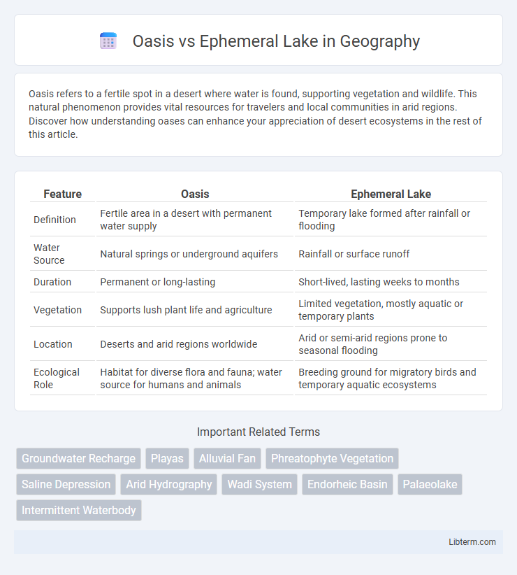 Ephemeral Lake vs Oasis in Geography - What is The Difference?