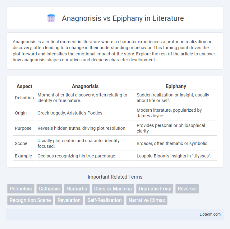 Epiphany vs Anagnorisis in Literature - What is The Difference?