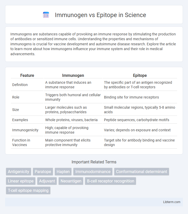 Epitope vs Immunogen in Science - What is The Difference?