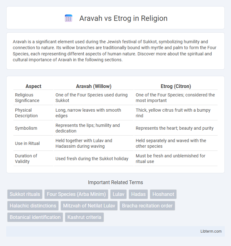 Etrog vs Aravah in Religion - What is The Difference?