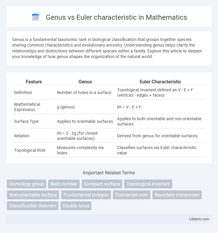 Euler characteristic vs Genus in Mathematics - What is The Difference?