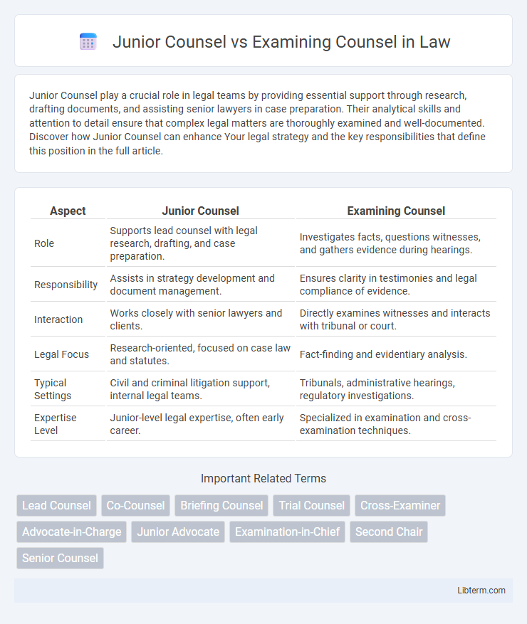 Examining Counsel vs Junior Counsel in Law - What is The Difference?