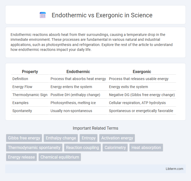 Exergonic vs Endothermic in Science - What is The Difference?