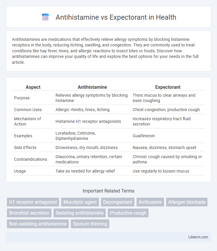 Expectorant vs Antihistamine in Health - What is The Difference?