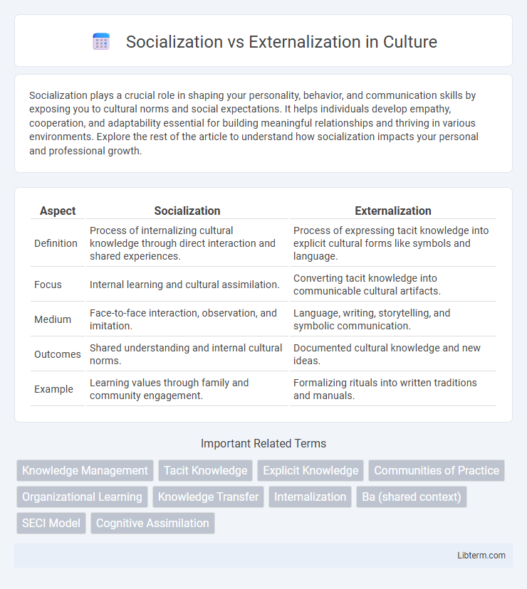 Externalization vs Socialization in Culture - What is The Difference?