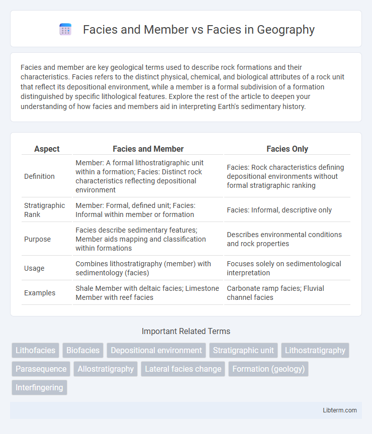 Facies vs Facies and Member in Geography - What is The Difference?