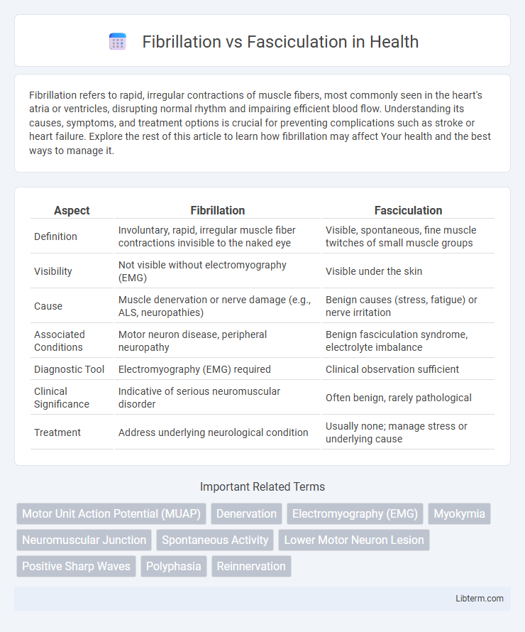 Fasciculation vs Fibrillation in Health - What is The Difference?
