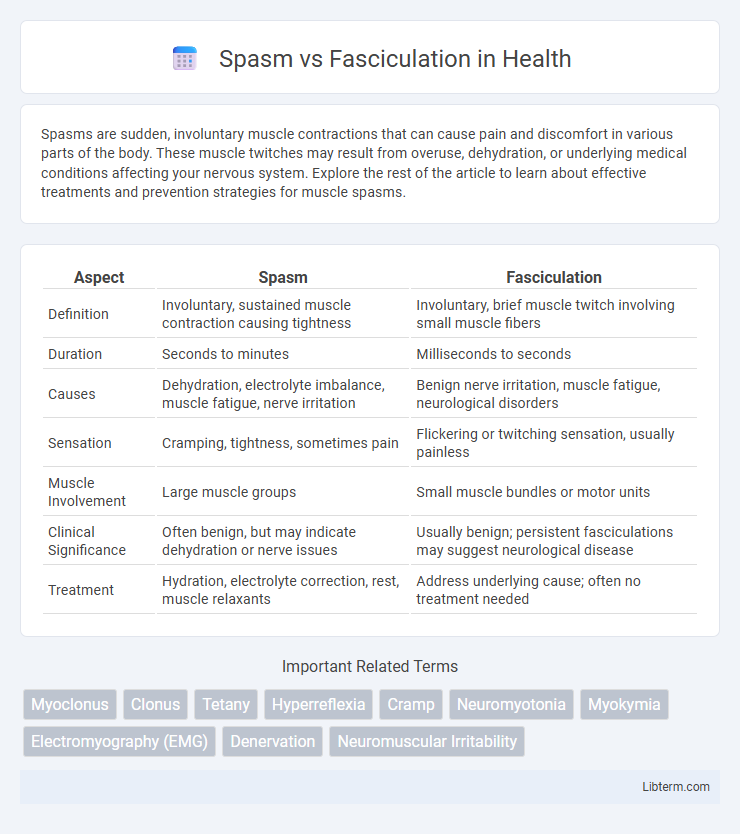 Fasciculation vs Spasm in Health - What is The Difference?