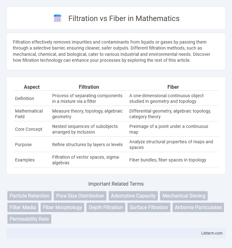 Fiber vs Filtration in Mathematics - What is The Difference?