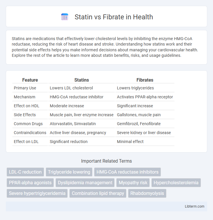 Fibrate vs Statin in Health - What is The Difference?