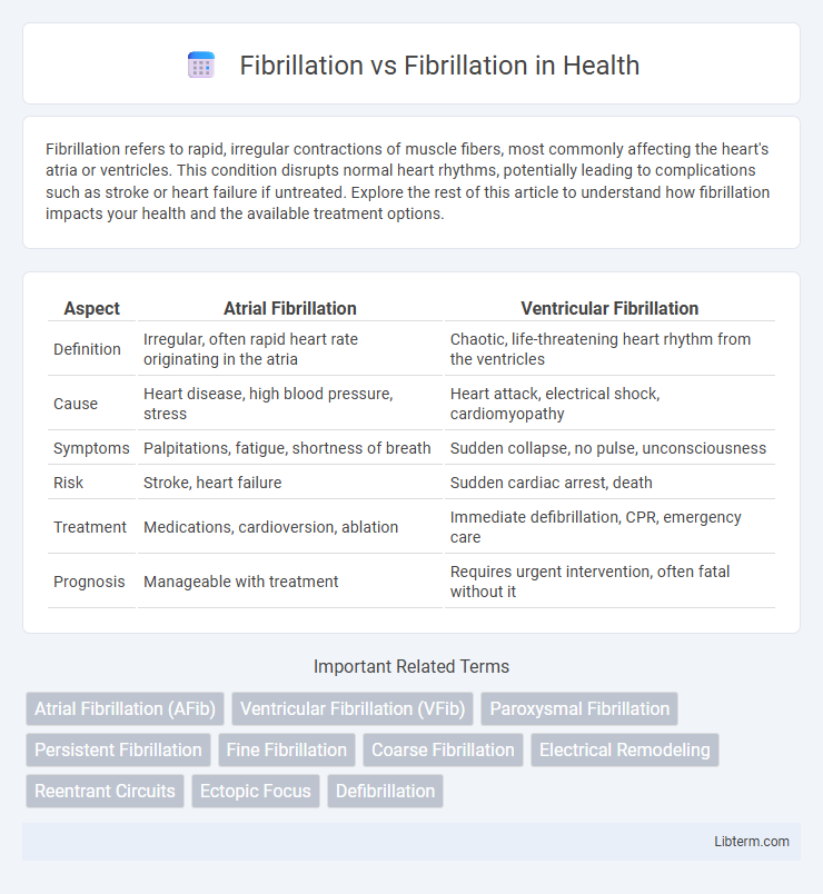 Fibrillation vs Fibrillation in Health - What is The Difference?