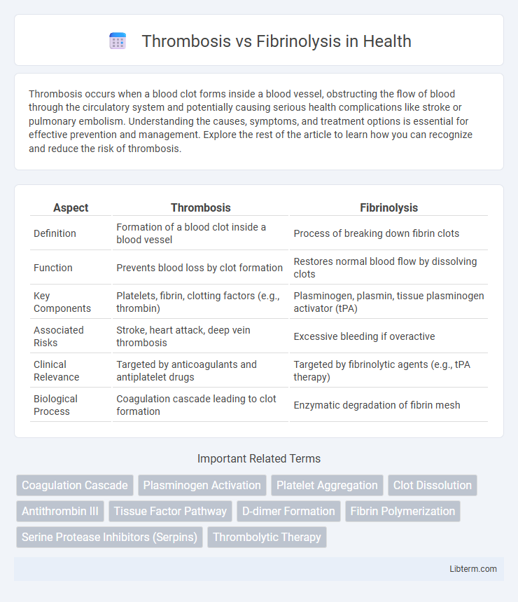 Fibrinolysis vs Thrombosis in Health - What is The Difference?
