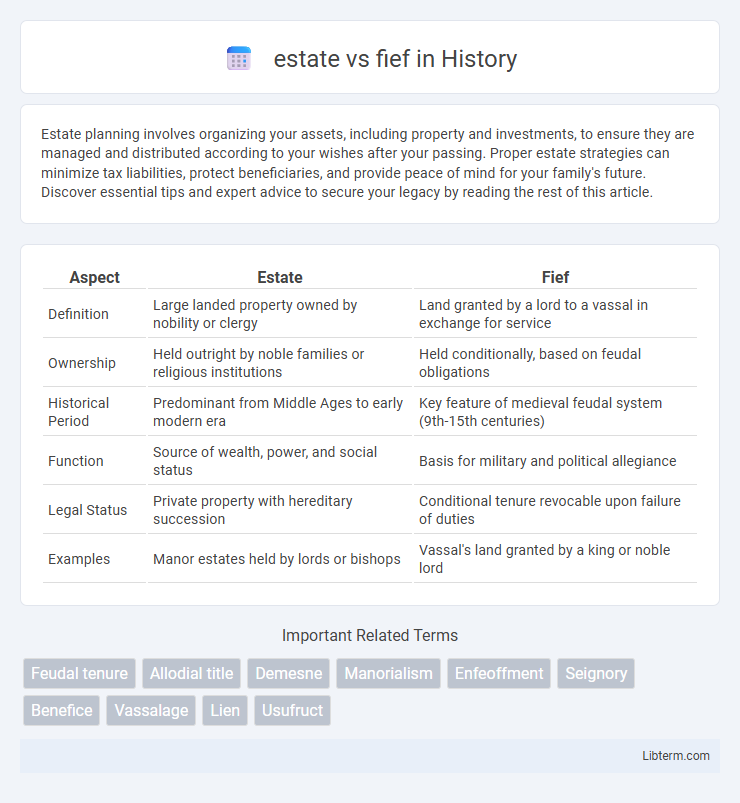 fief vs estate in History - What is The Difference?