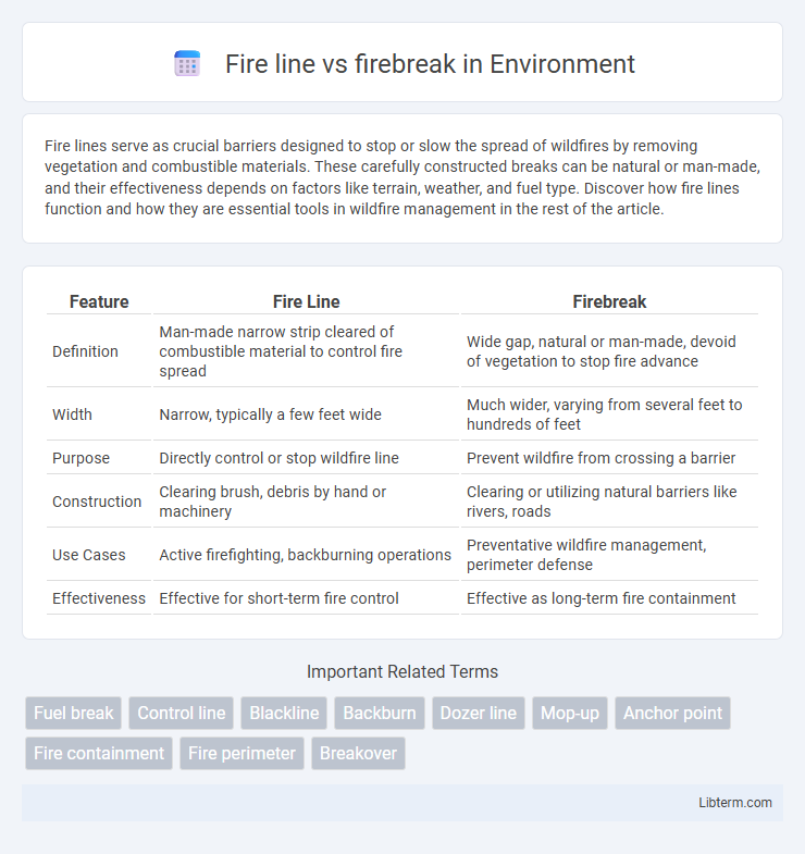 firebreak vs Fire line in Environment - What is The Difference?