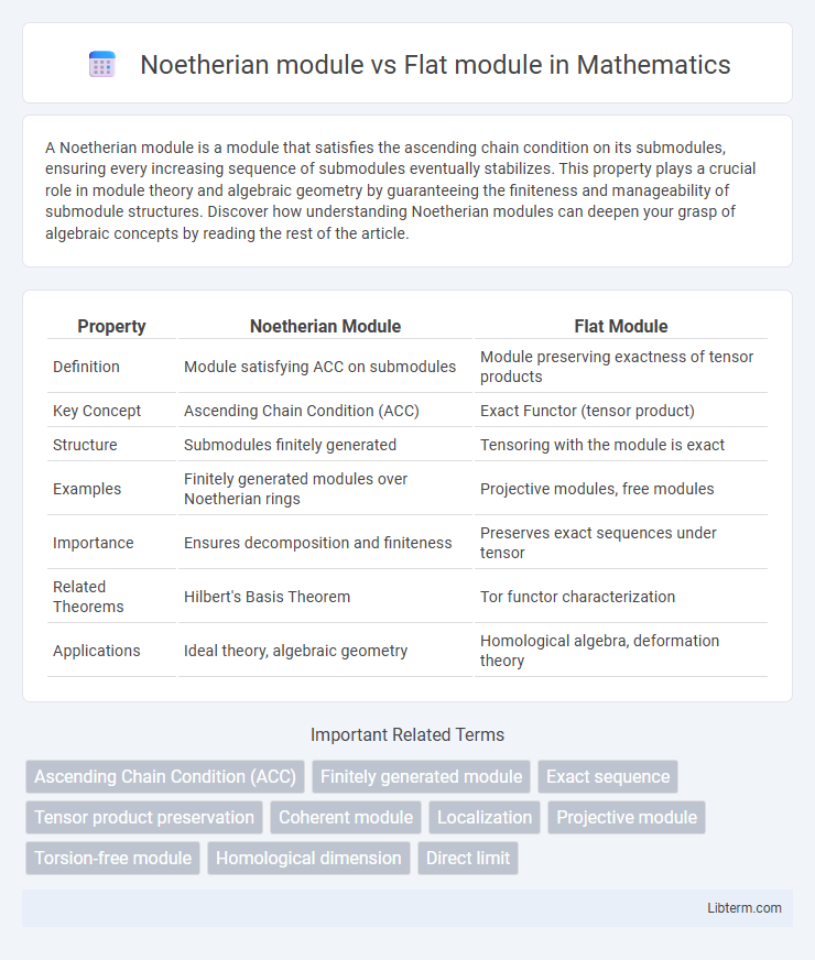 Flat module vs Noetherian module in Mathematics - What is The Difference?