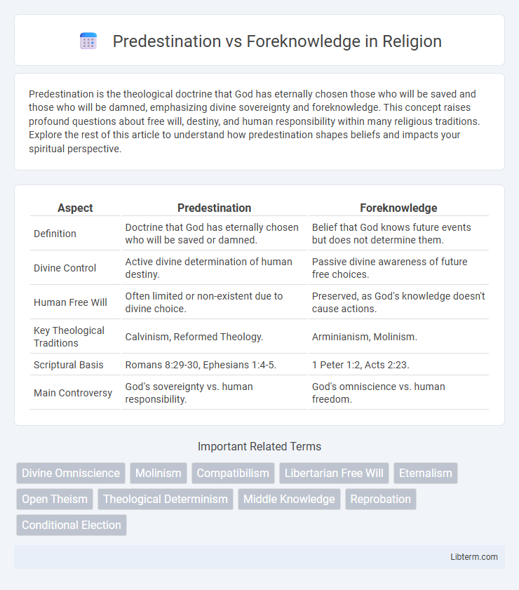 Foreknowledge vs Predestination in Religion - What is The Difference?