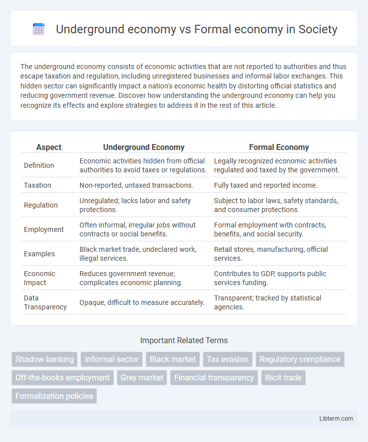 Formal economy vs Underground economy in Society - What is The Difference?
