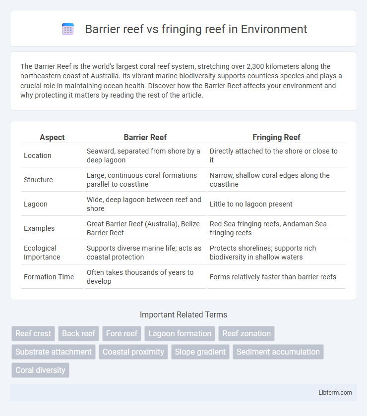 fringing reef vs Barrier reef in Environment - What is The Difference?
