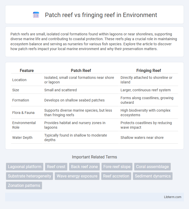fringing reef vs Patch reef in Environment - What is The Difference?