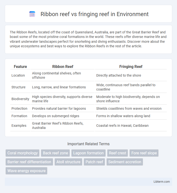 fringing reef vs Ribbon reef in Environment - What is The Difference?