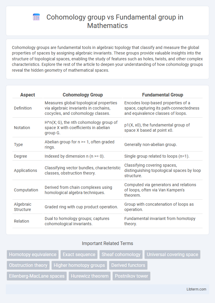Fundamental group vs Cohomology group in Mathematics - What is The Difference?