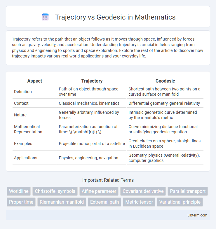 Geodesic vs Trajectory in Mathematics - What is The Difference?
