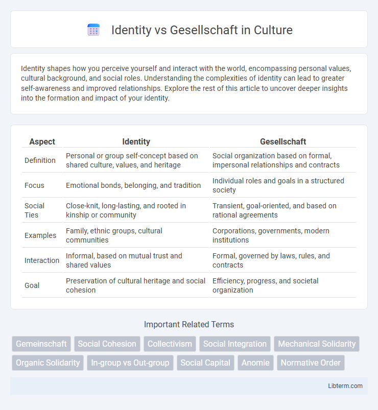 Gesellschaft vs Identity in Culture - What is The Difference?