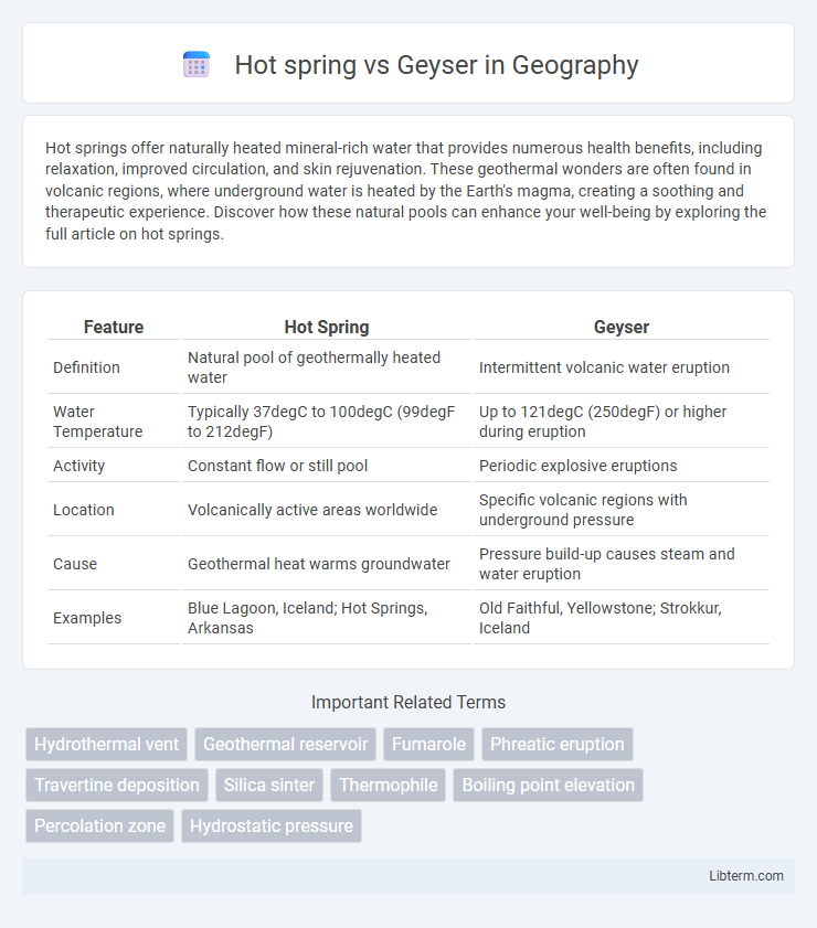 Geyser vs Hot spring in Geography - What is The Difference?