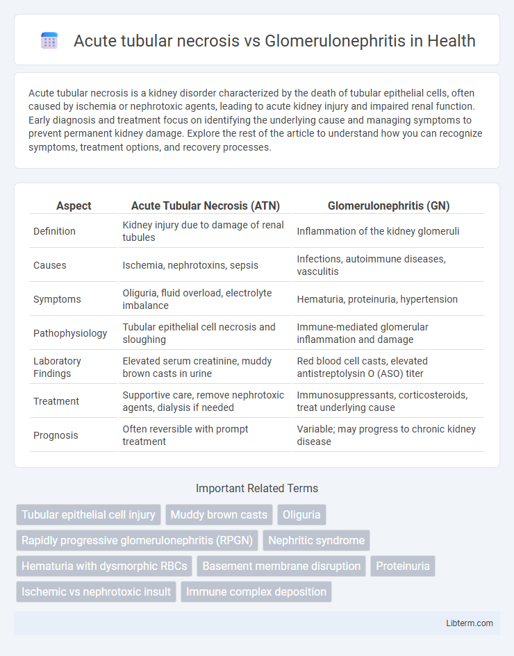 Glomerulonephritis vs Acute tubular necrosis in Health - What is The Difference?