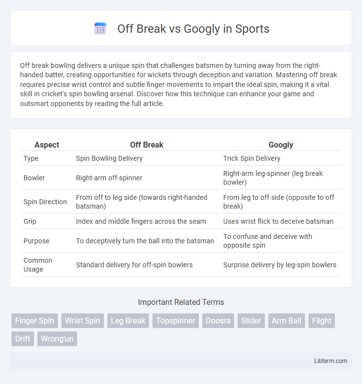 Googly vs Off Break in Sports - What is The Difference?