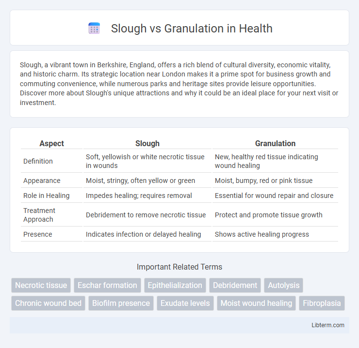Granulation vs Slough in Health - What is The Difference?