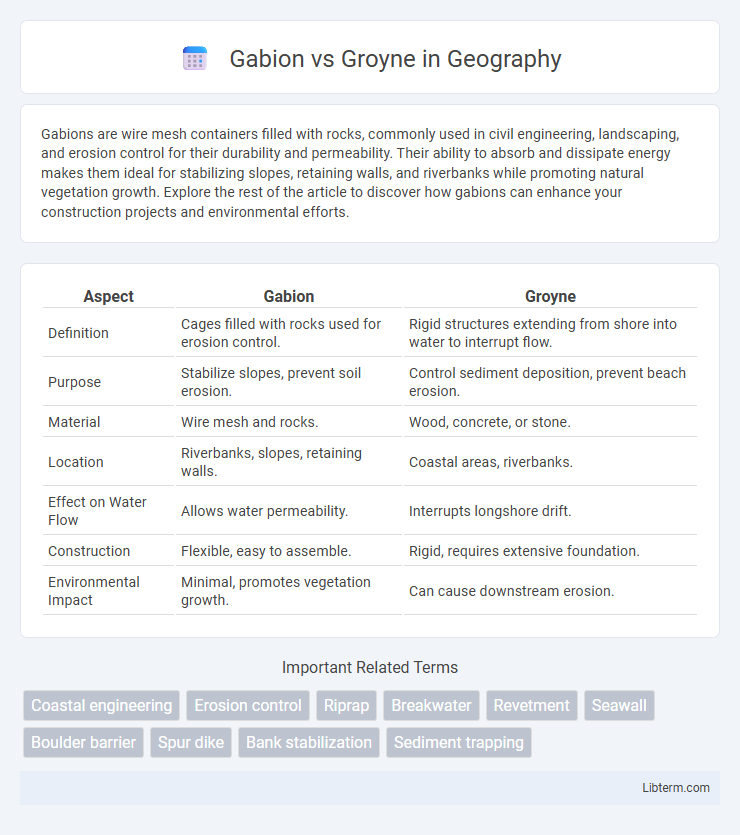 Groyne vs Gabion in Geography - What is The Difference?