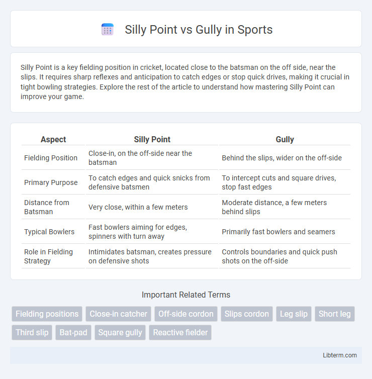 Gully vs Silly Point in Sports - What is The Difference?