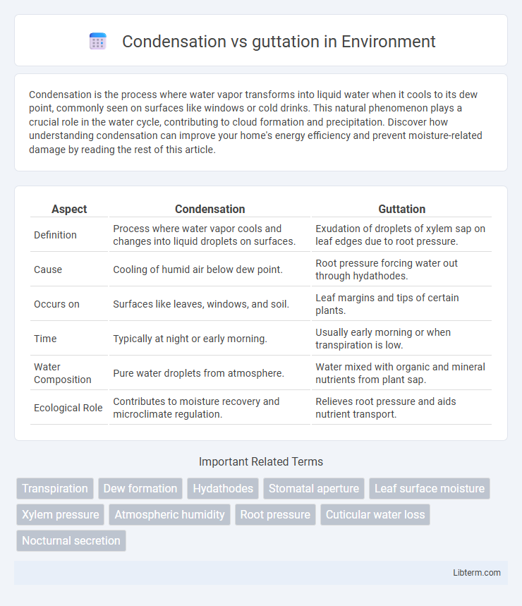 guttation vs Condensation in Environment - What is The Difference?