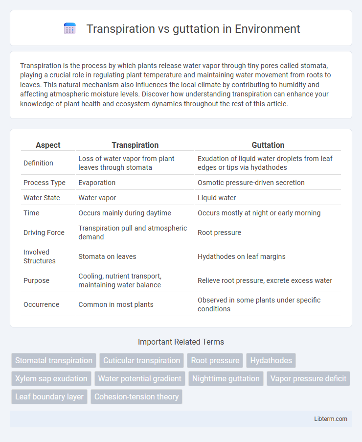 guttation vs Transpiration in Environment - What is The Difference?