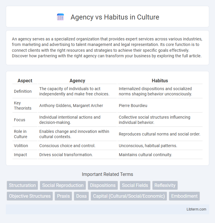 Habitus vs Agency in Culture - What is The Difference?