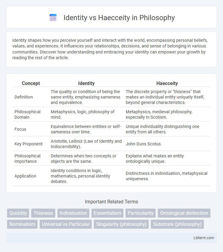 Haecceity vs Identity in Philosophy - What is The Difference?