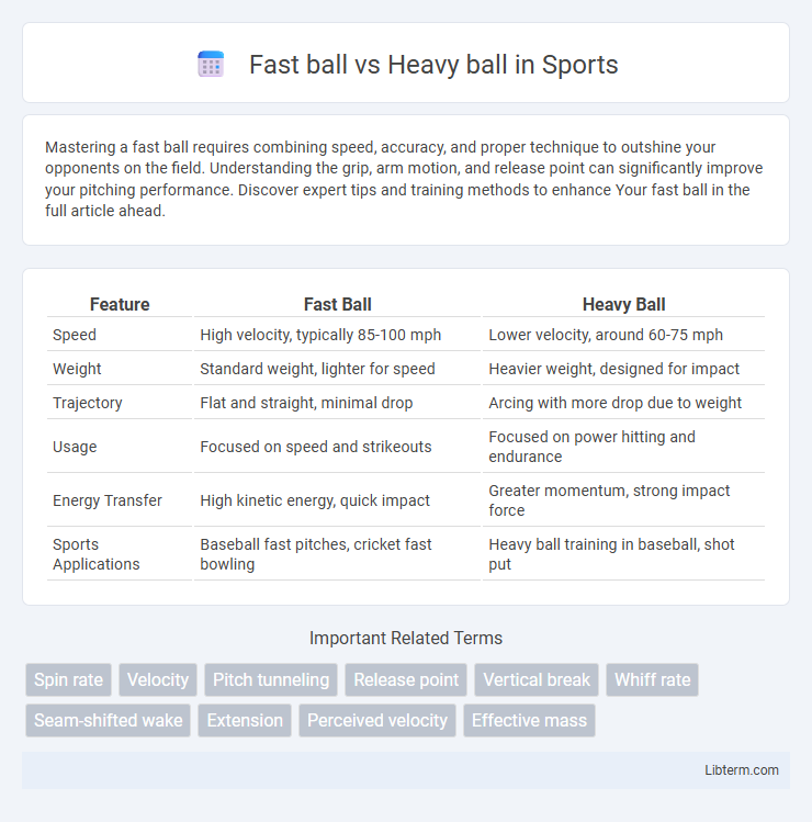Heavy ball vs Fast ball in Sports - What is The Difference?