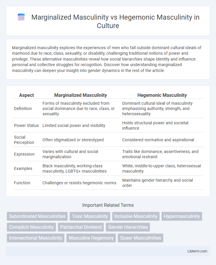 Hegemonic Masculinity vs Marginalized Masculinity in Culture - What is The Difference?