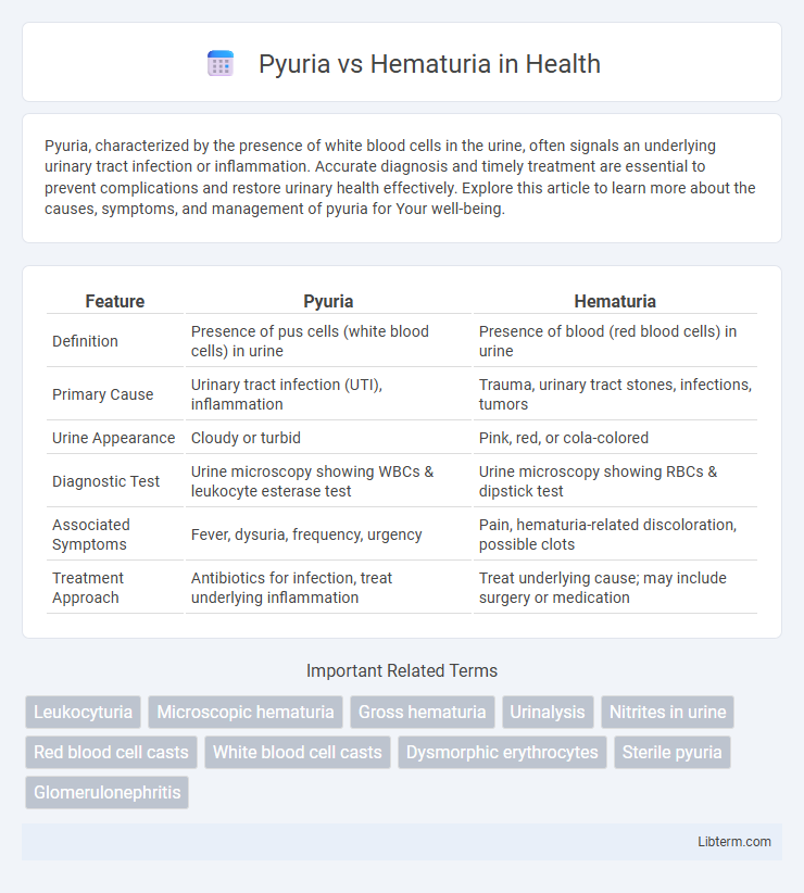 Hematuria vs Pyuria in Health - What is The Difference?