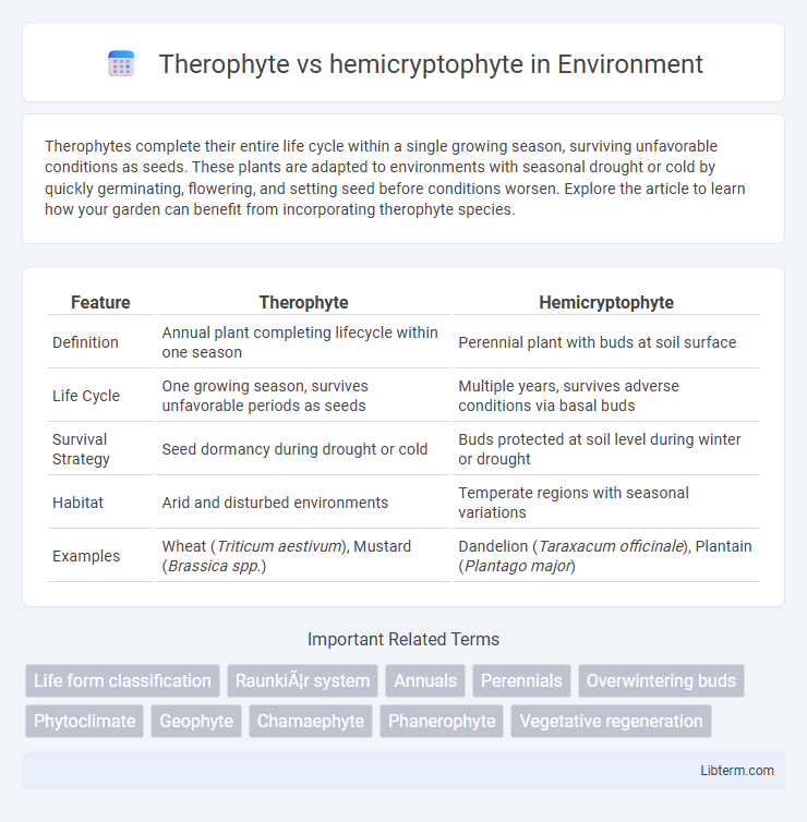 hemicryptophyte vs Therophyte in Environment - What is The Difference?