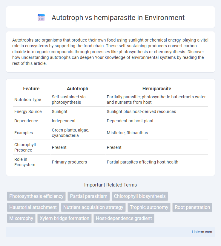 hemiparasite vs Autotroph in Environment - What is The Difference?