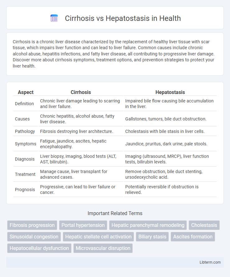 Hepatostasis vs Cirrhosis in Health - What is The Difference?
