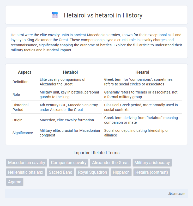 hetaroi vs Hetairoi in History - What is The Difference?