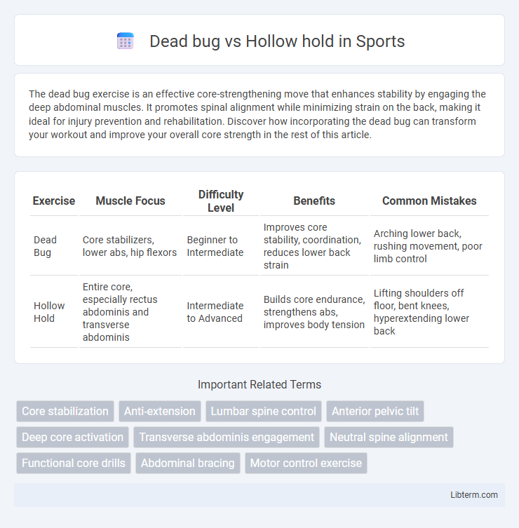 Hollow hold vs Dead bug in Sports - What is The Difference?
