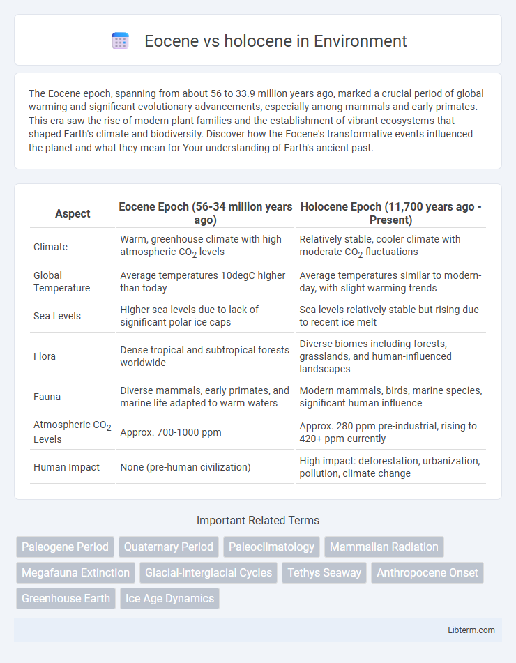 holocene vs Eocene in Environment - What is The Difference?