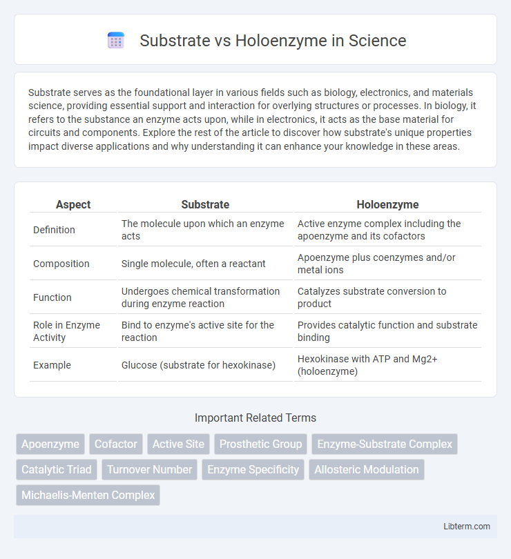 Holoenzyme vs Substrate in Science - What is The Difference?