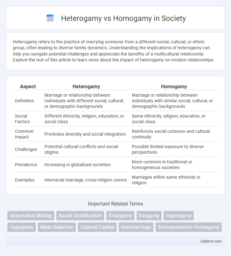 Homogamy vs Heterogamy in Society - What is The Difference?