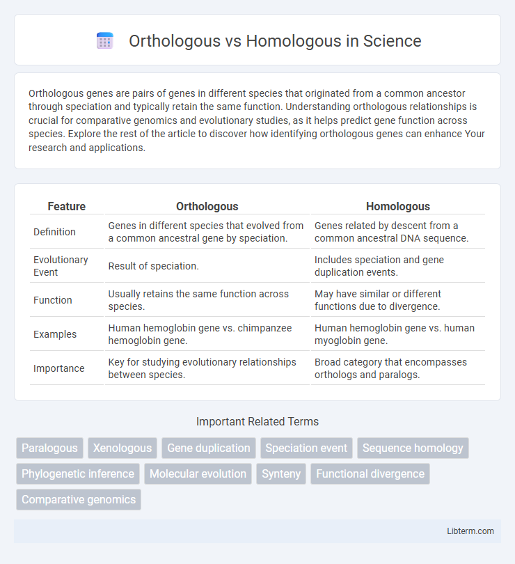 Homologous vs Orthologous in Science - What is The Difference?